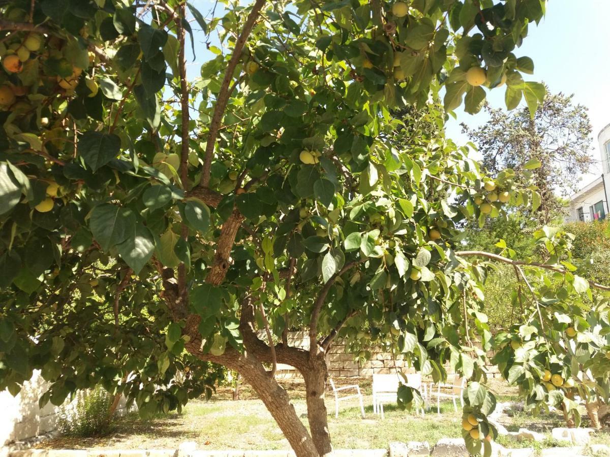 Il Giardino Delle Margherite Lecce Exterior foto