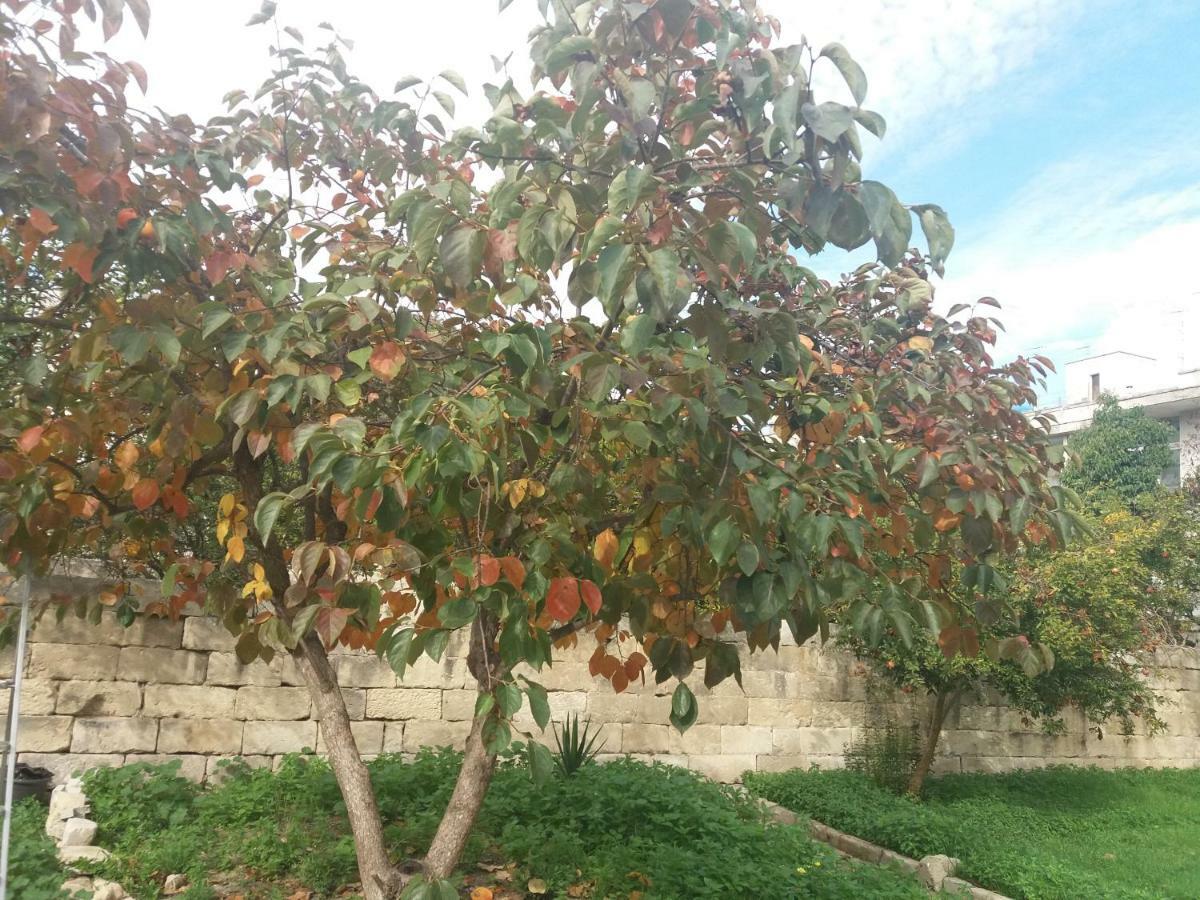 Il Giardino Delle Margherite Lecce Exterior foto