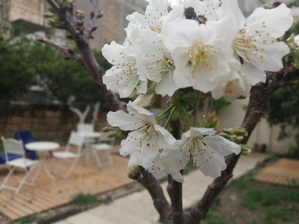 Il Giardino Delle Margherite Lecce Exterior foto